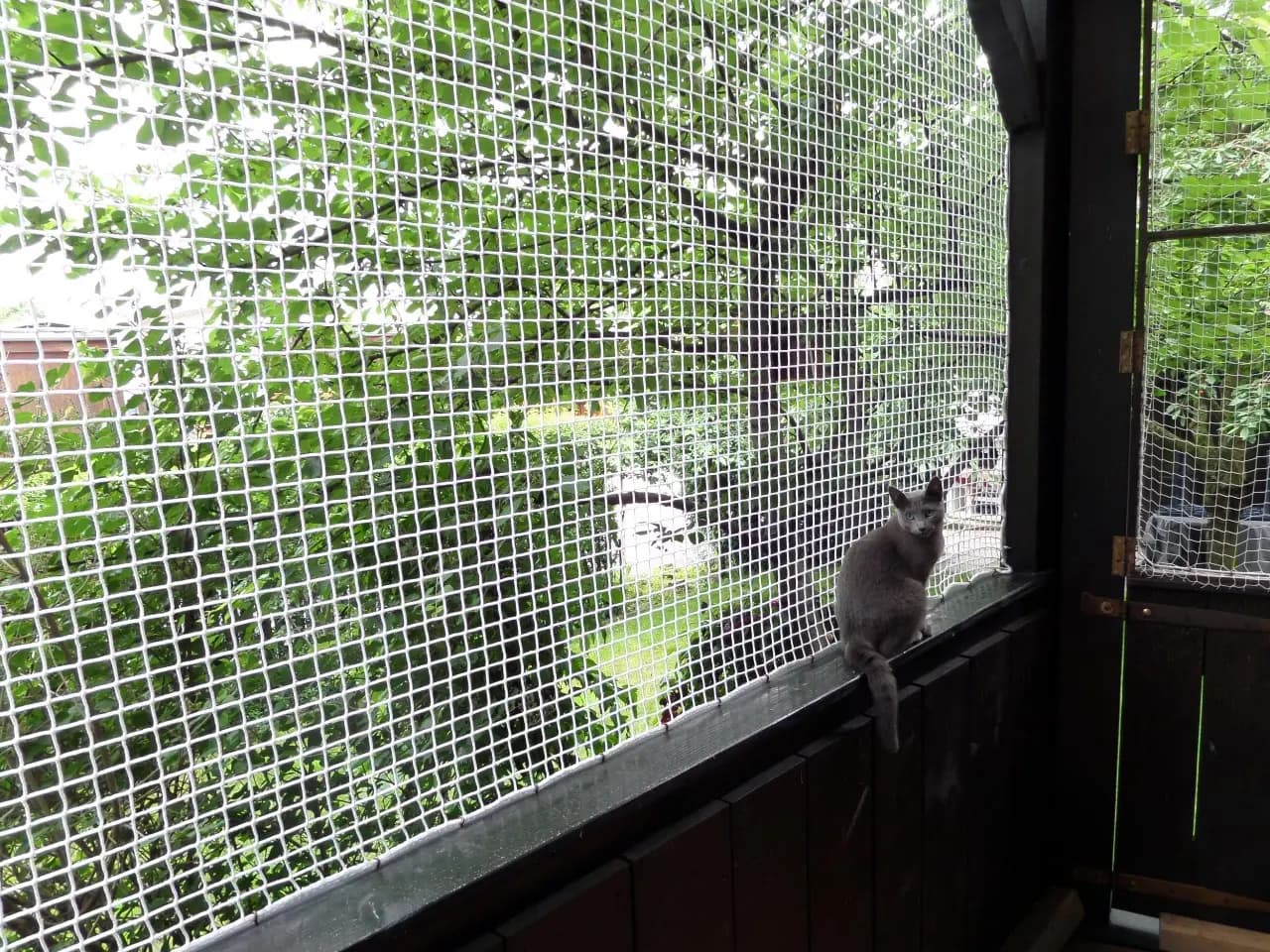 Pet Safety Nets Installation in Hyderabad